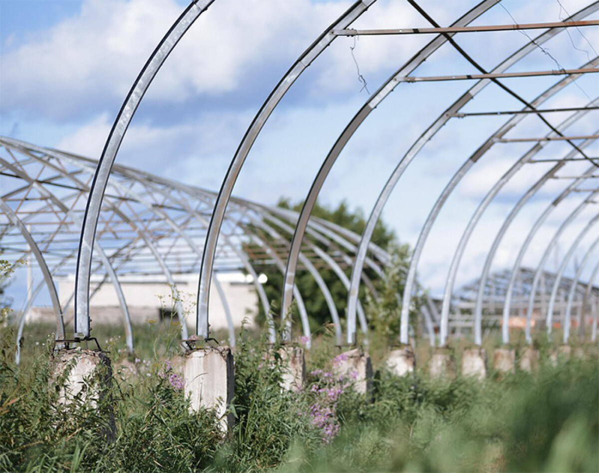 In via dei Cinque Archi, ad Aprilia, si rischia il disastro ecologico. La segnalazione di un nostro ascoltatore. - 