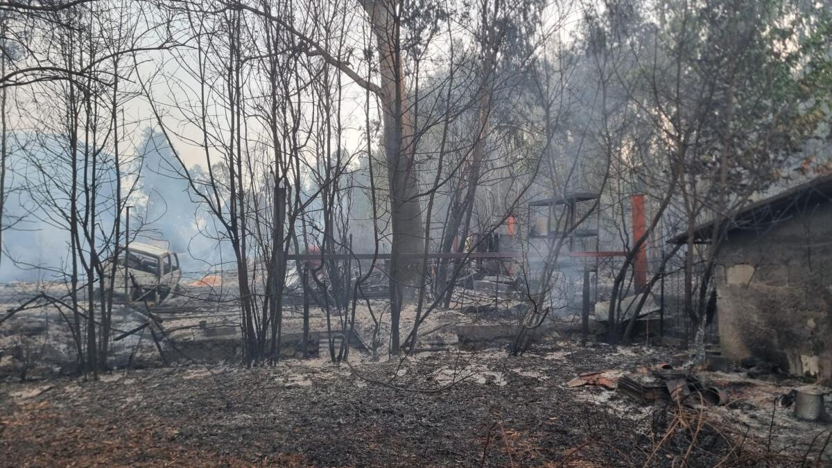 Maxi incendio in via della Polveriera a Cisterna: rientrano con alcune prescrizioni le persone evacuate - 