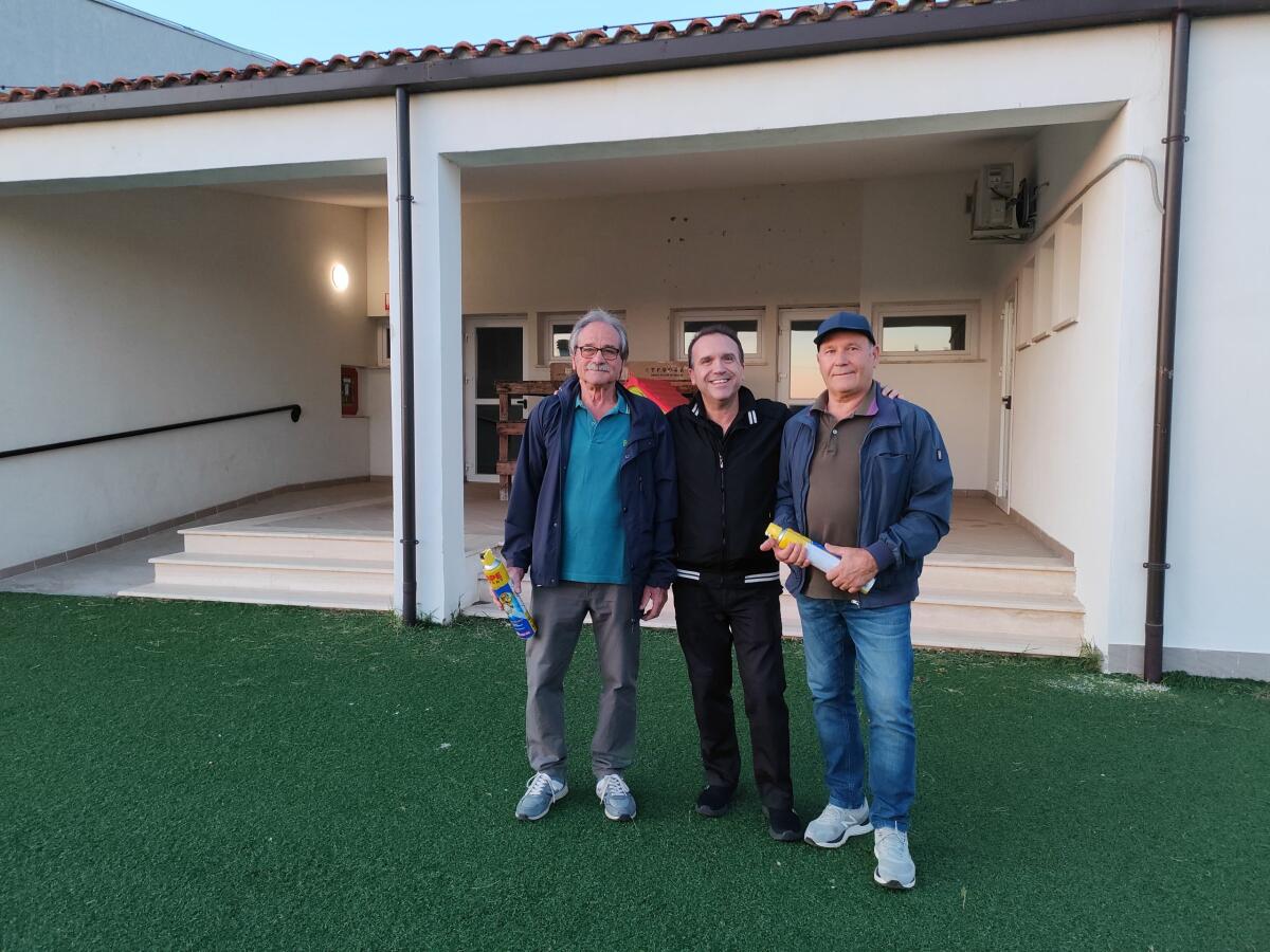 Aprilia - Il comitato di quartiere Selciatella libera l'asilo dalle vespe: "Nido di 60 cm, c'erano almeno 4mila insetti" - 