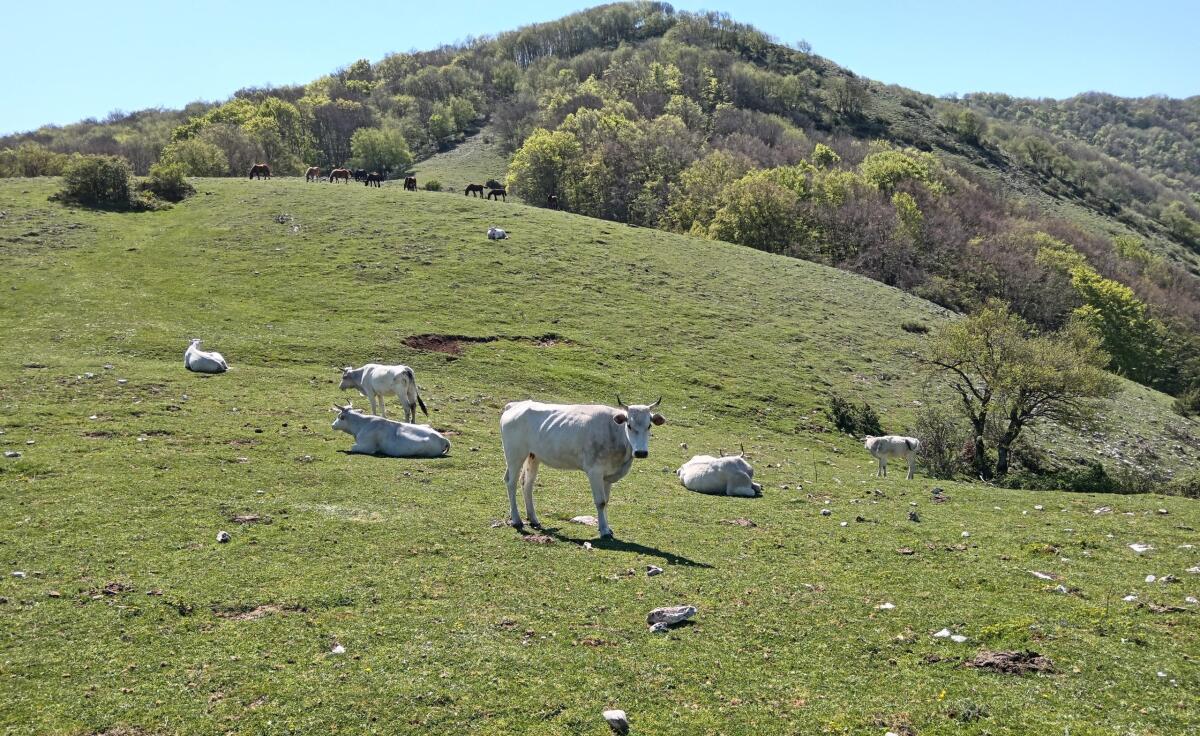 Trekking sui Monti Sabini questa domenica 27 Ottobre con l’associazione “Montagna Libera” di Aprilia. - 