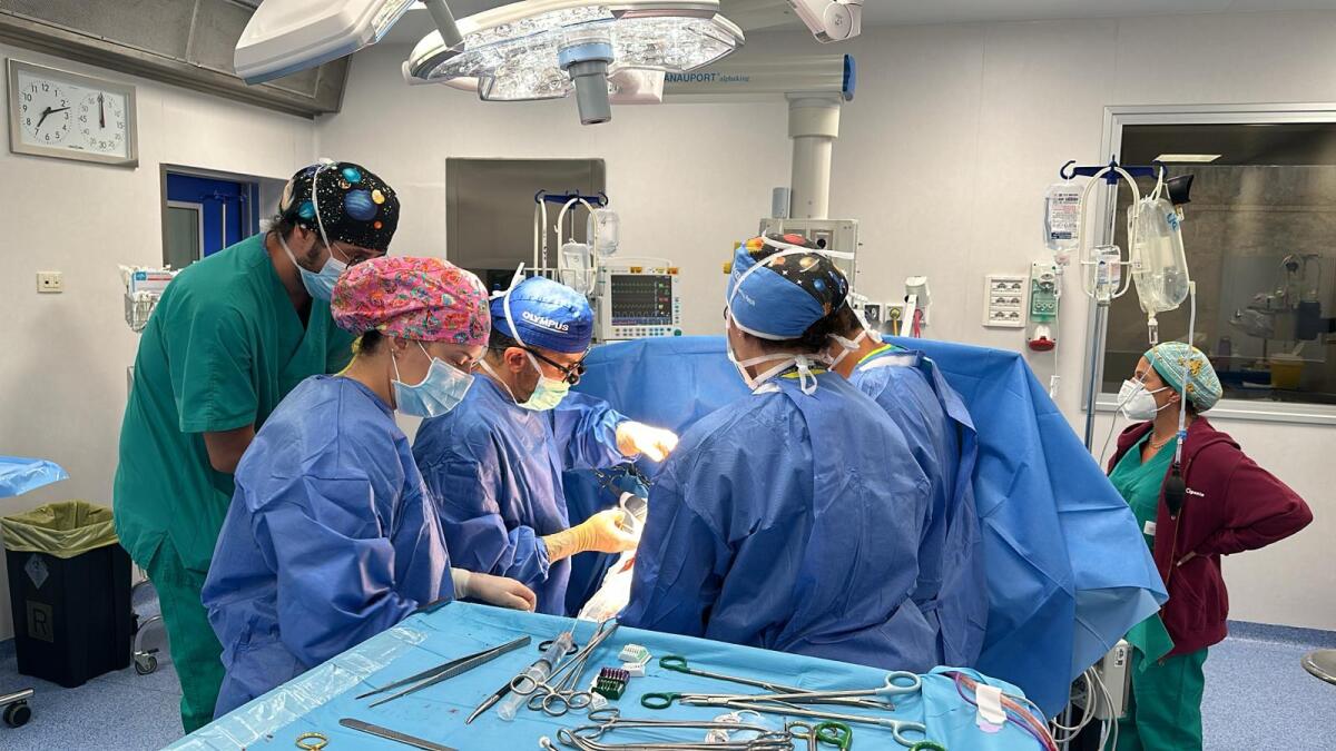 Sanità, 7 trapianti in 24 ore al Polo San Camillo-Spallanzani di Roma: un primato nel Lazio - 