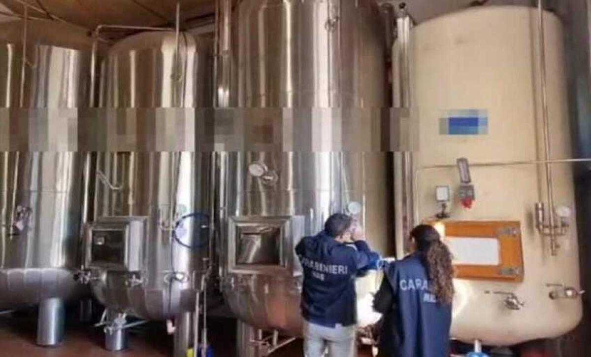 Controlli del Nas in un'azienda vinicola a Cori: chiusa - 