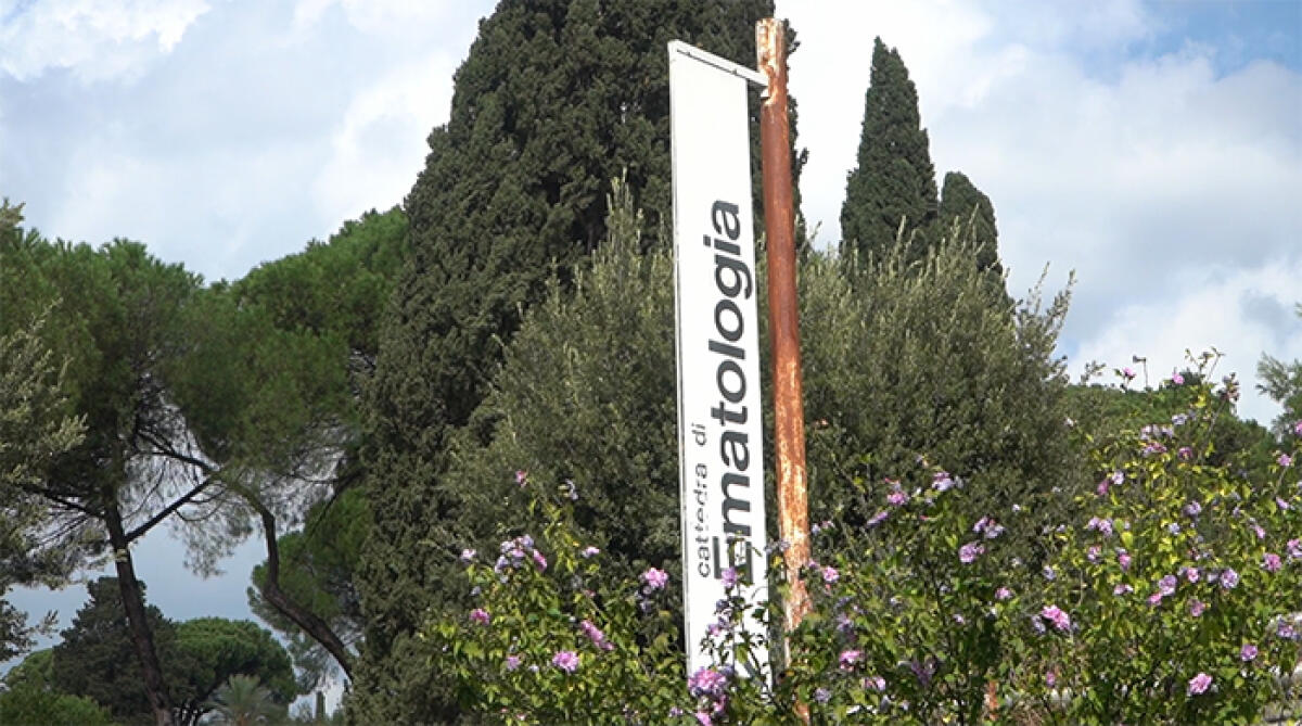 Il 12 Ottobre giornata di sensibilizzazione sull’emoglobinuria parossistica notturna, una rara malattia del sangue. VIDEO - 