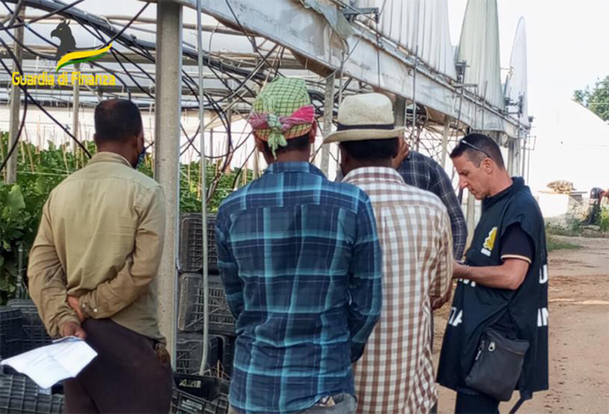 Contrasto al lavoro sommerso nel settore agroalimentare: i finanzieri  individuano oltre 450 posizioni di lavoro irregolari tra Sabaudia e Terracina. - 