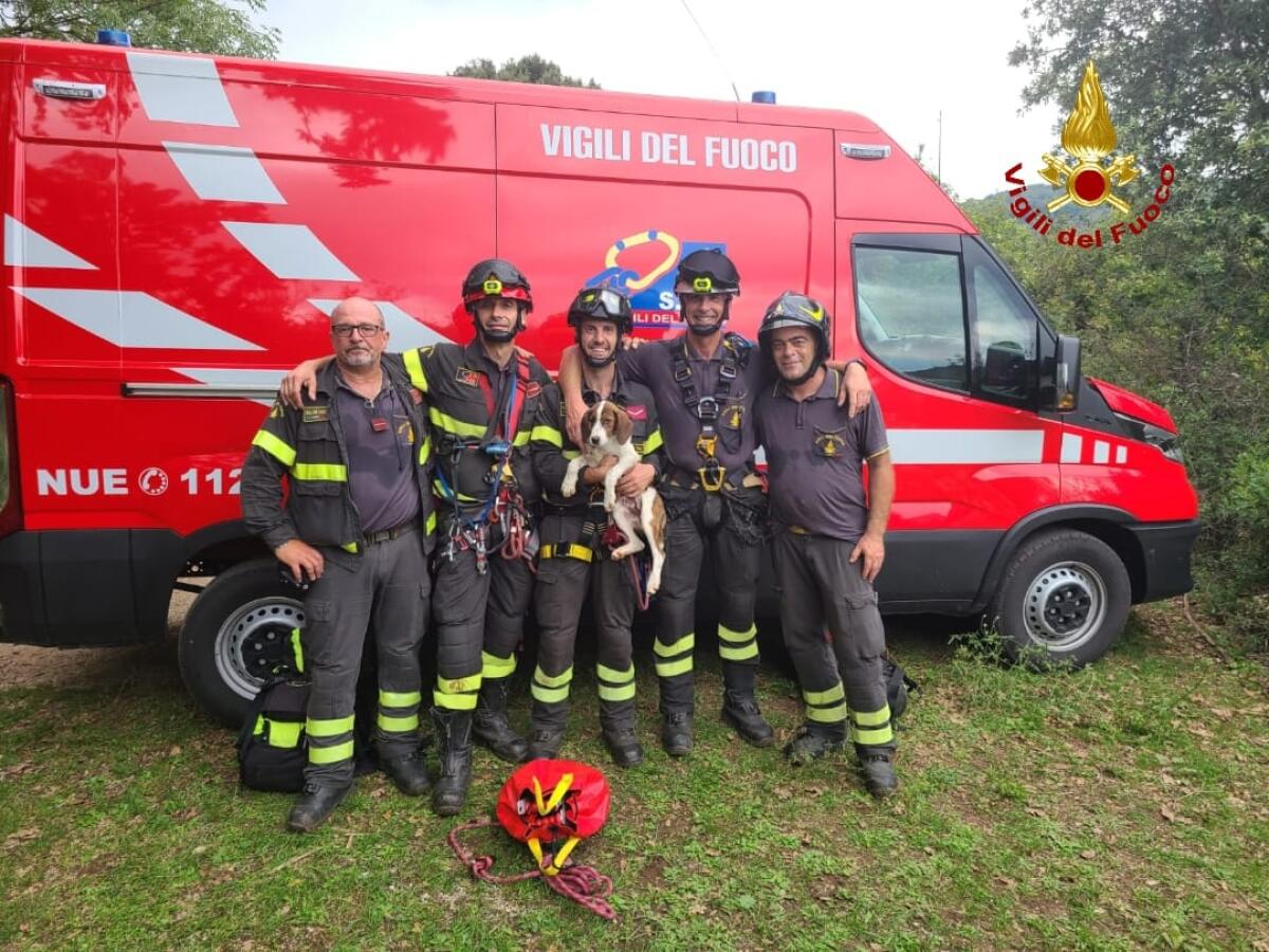 Finisce in dirupo di oltre 30 metri. I vigili del fuoco salvano un cucciolo di cane a Prossedi. - 