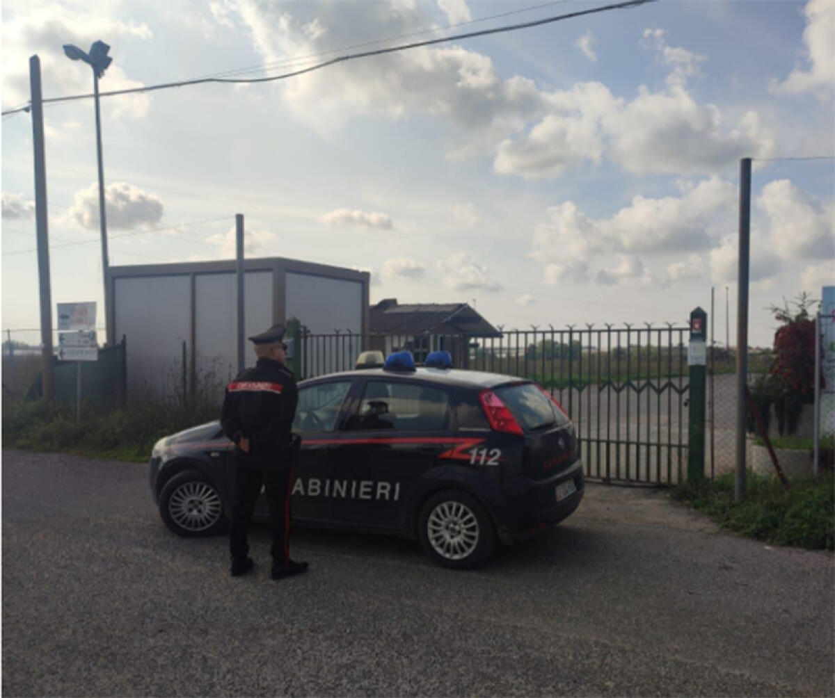 Furto al mercato dei fiori di Aprilia: rubato materiale per 5mila euro - 