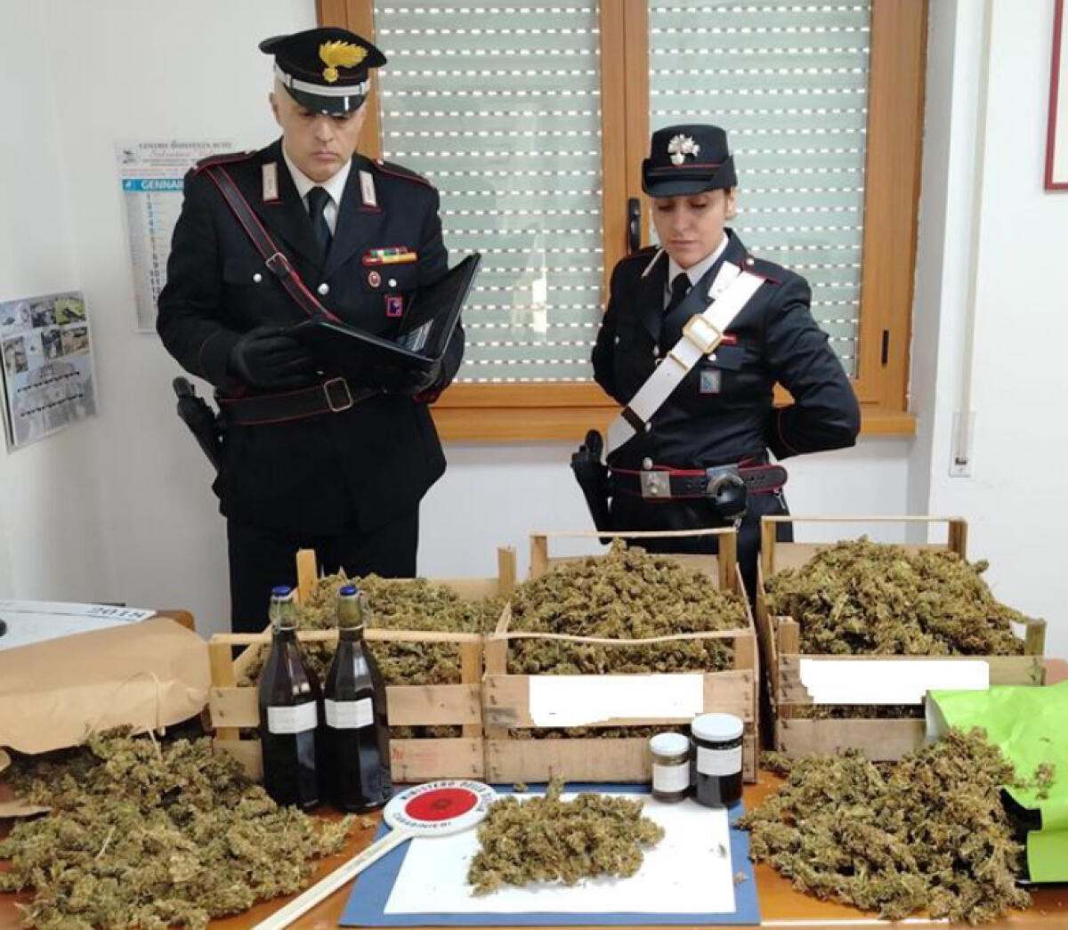 Coltivava marijuana in un capannone a Cisterna, 56enne denunciato dai carabinieri - 
