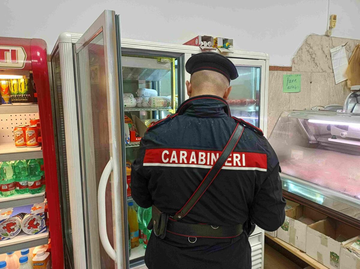 Velletri - Ristorante,  pizzeria a taglio e macelleria con carenze igieniche: il Nas le multa - 