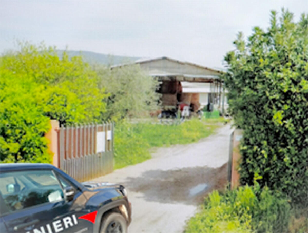 Caporalato, 2 lavoratori in nero su 3 in un’azienda di Pontinia. Scatta la sospensione per l’attività, il titolare viene denunciato. - 