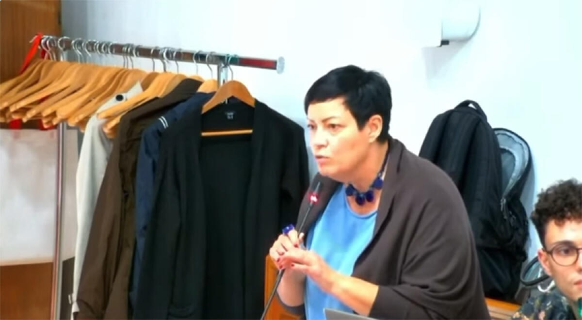 Pomezia, la consigliera pd Rosaria Del Buono presa a spallate dal leghista Fabrizio Salvitti durante il Consiglio: "Violenza inaccettabile" - 