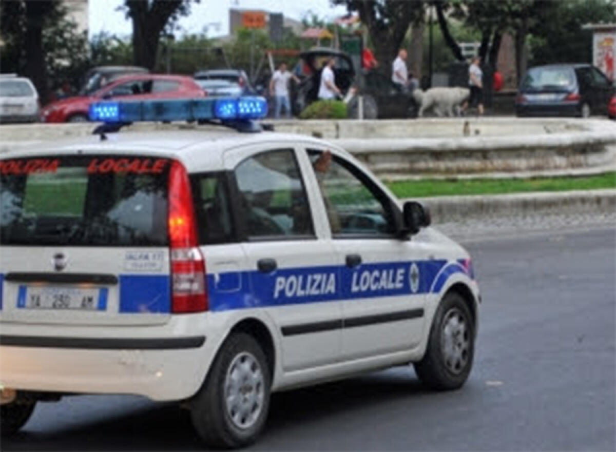 Velletri, cani maltrattati e malnutriti: 8 simil corso salvati dalla polizia locale - 