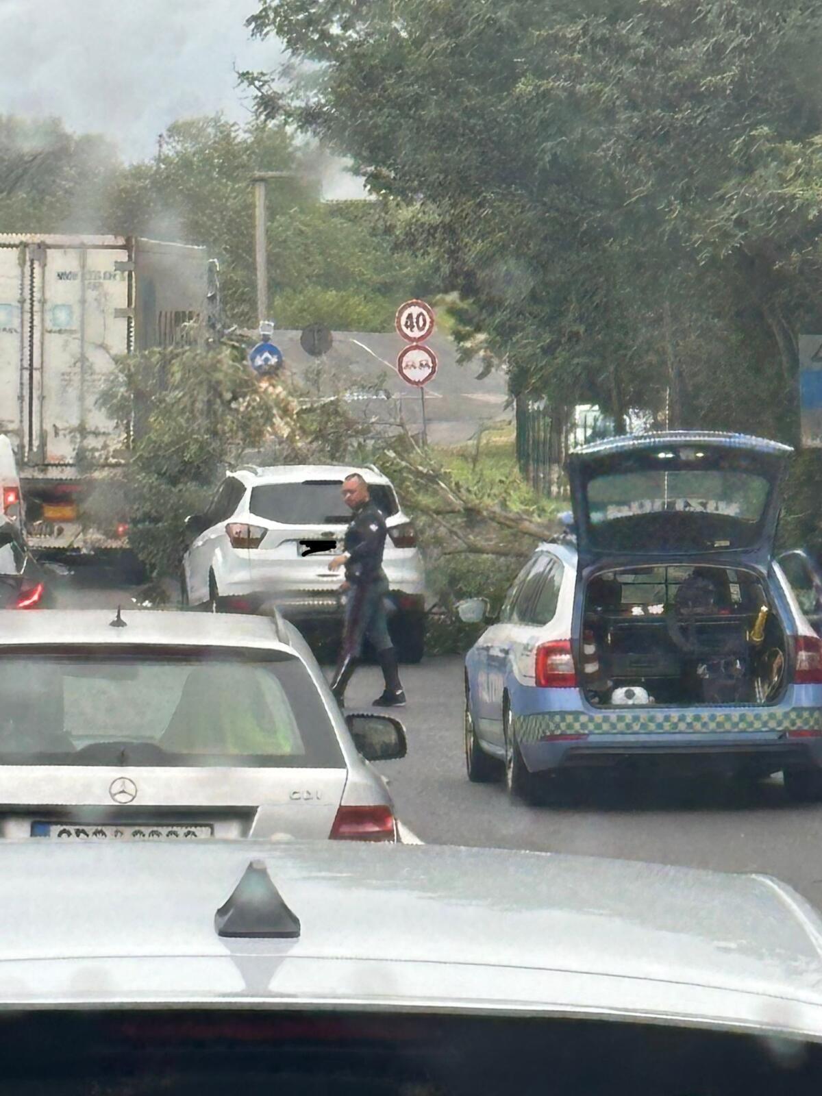 Pontina, ramo si spezza e prende in pieno un'auto - 