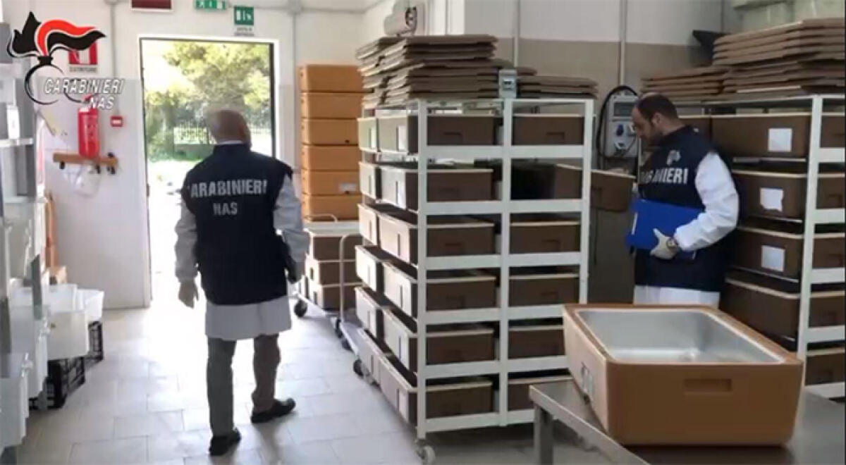 Blitz del Nas di Latina nelle mense scolastiche della provincia. Gravi omissioni in due asili nido di Aprilia. Controllate in tutto 16 attività. - 