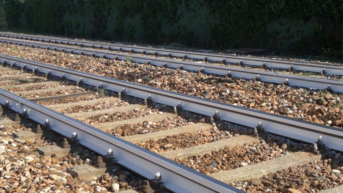 Investimento di un animale sulla linea ferroviaria: ritardi all’alba sulla Roma-Napoli via Formia. - 