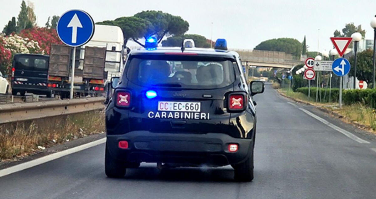 Ruba vestiti per 800 euro da Aprilia 2, arrestata - 