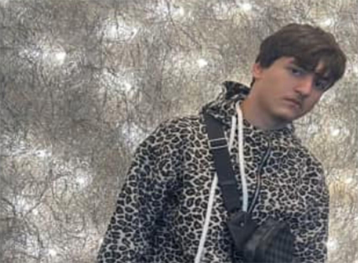 Arrivano segnalazioni, ma ancora nessuna notizia del 14enne di Ardea Gabriele Pietrocarlo, scomparso lo scorso 6 Dicembre. - 