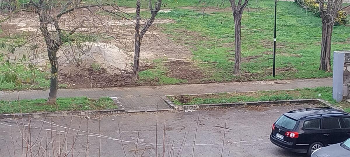 Aprilia - Parco Manaresi, "Rimossa la mini discarica" - 