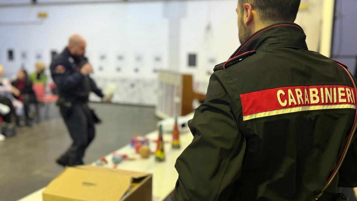 “Usa la testa non rovinarti la festa”: al via la campagna dei Carabinieri sui “botti di fine anno”. - 