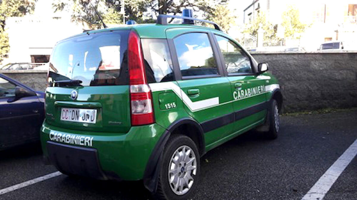 Sequestrati dai Carabinieri del Nipaf due cantieri edili a San Felice Circeo. Scattano diverse denunce. - 