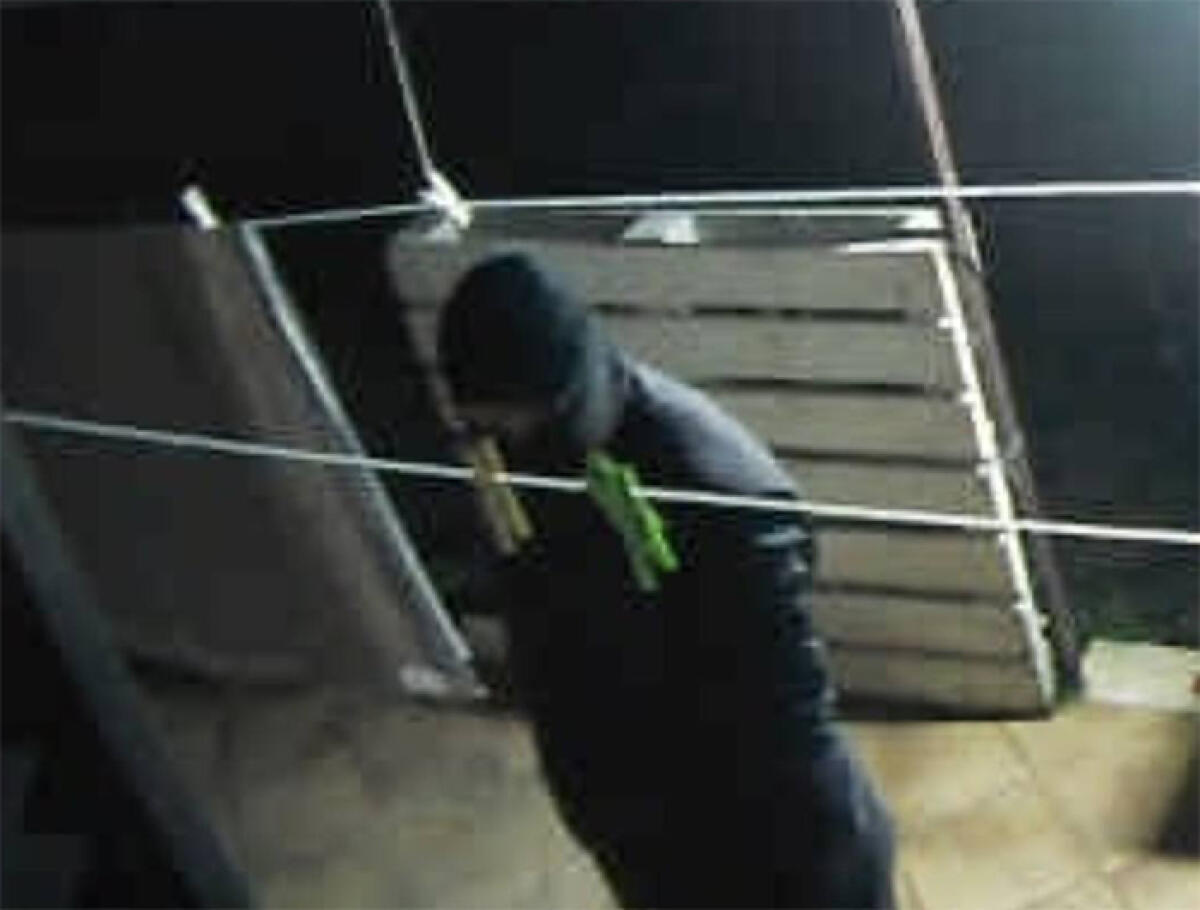 Tentano il colpo in villa, a Campoleone, nonostante la presenza dei proprietari. I cani li mettono in fuga. - 