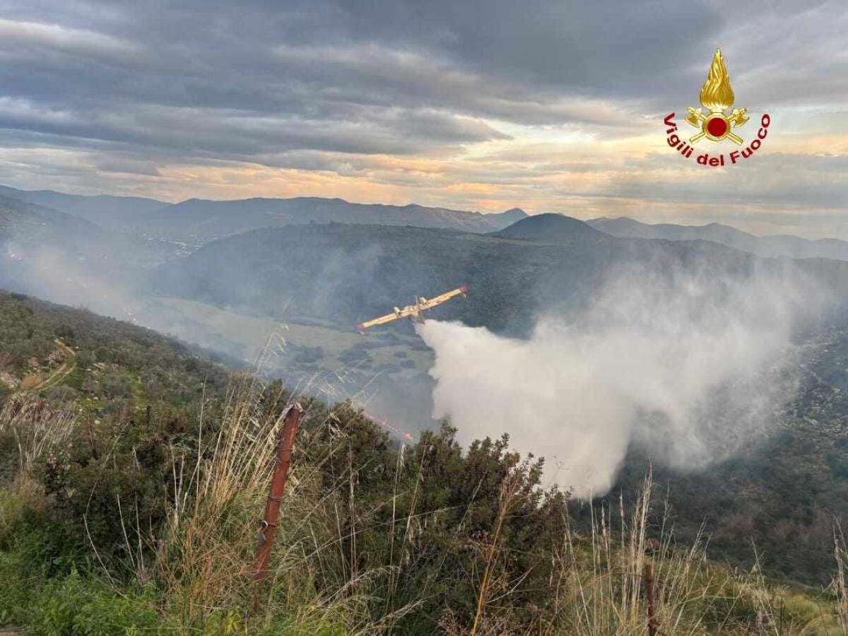 Tre ettari di macchia mediterranea in fiamme sui Monti Lepini, a Sezze. Necessario l’intervento del canadair. - 