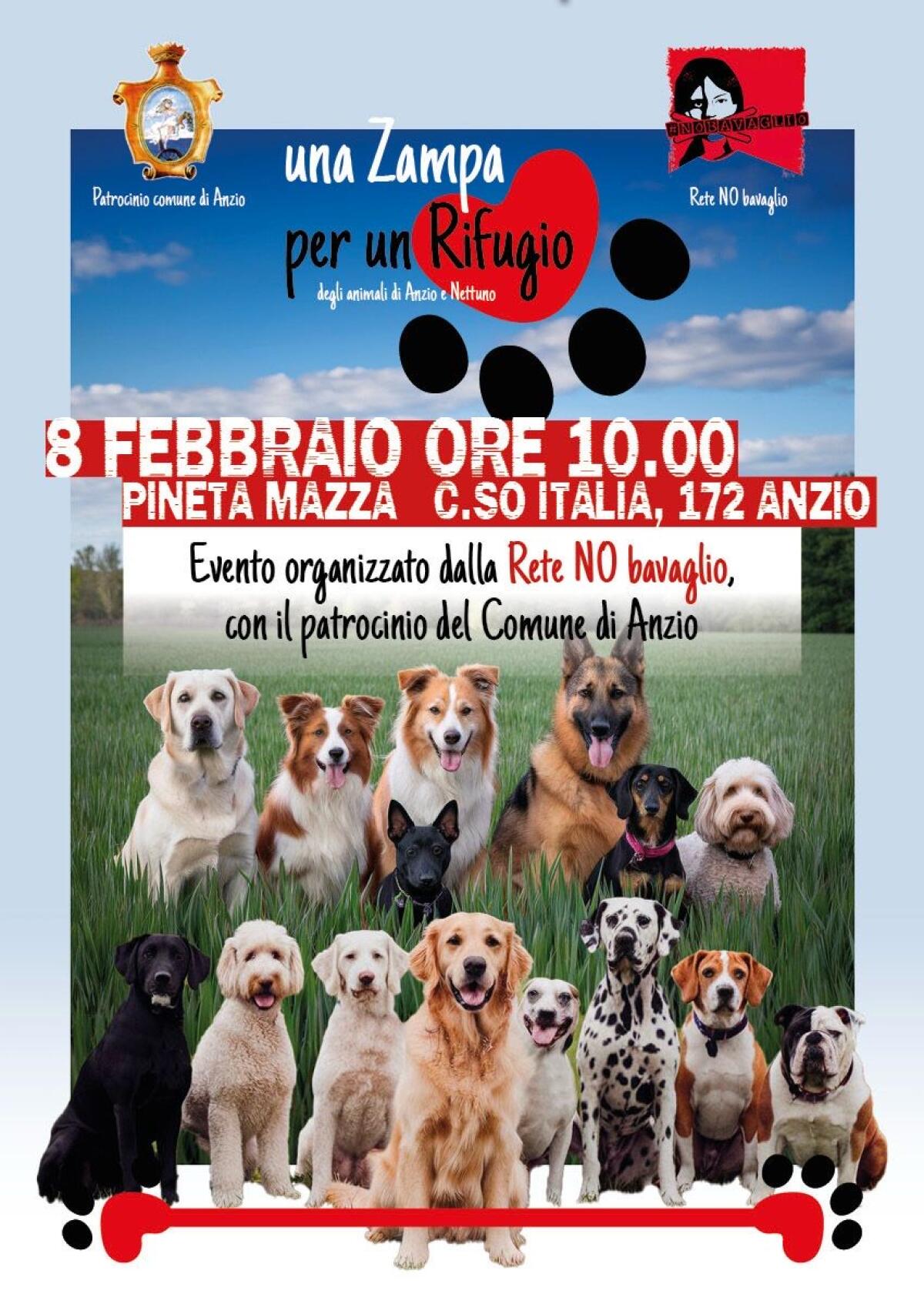 “Una Zampa per un Rifugio per gli Animali di Anzio e Nettuno”: l’8 febbraio alla Pineta Mazza un’iniziativa della Rete NoBavaglio. - 