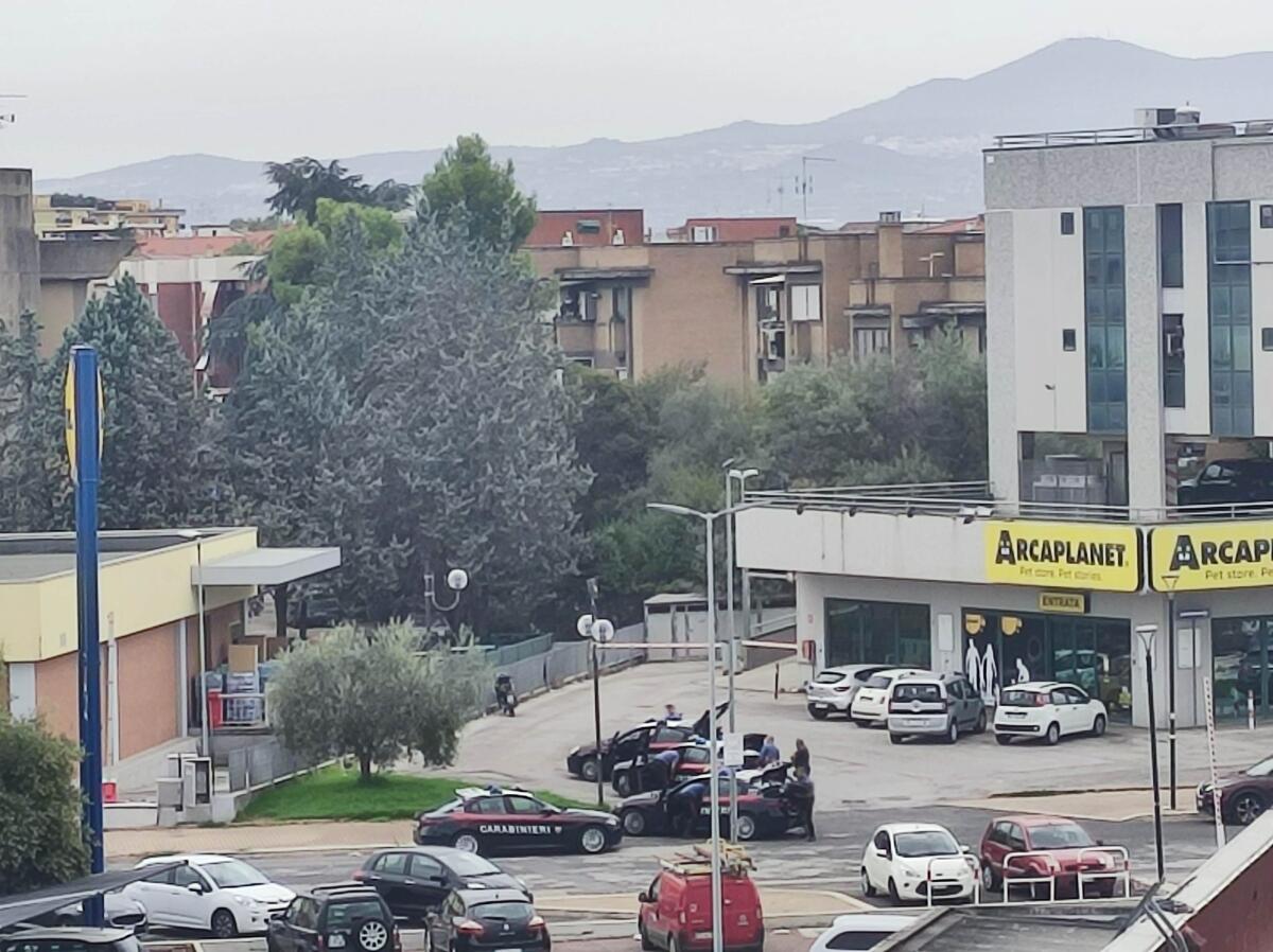 Colpo da "Arcaplanet" ad Aprilia: bottino magro, al vaglio le immagini della videosorveglianza. - 