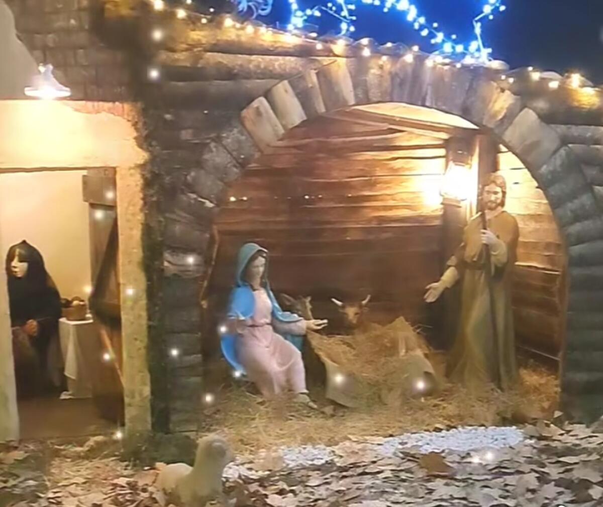 Scomparse le pecorelle e le anatre del presepe del quartiere Aprilia Nord. Il comitato sporge denuncia ai Carabinieri. - 