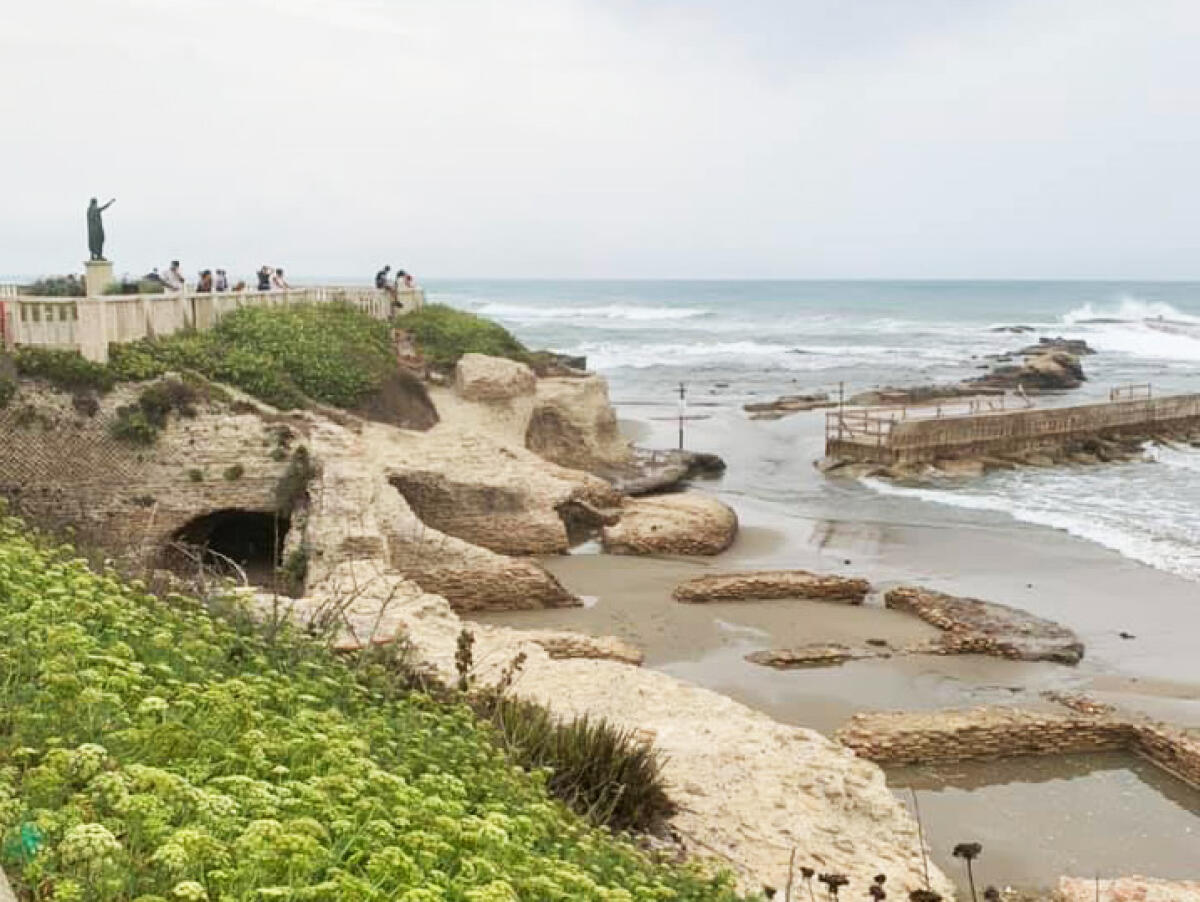 Città verdi resilienti, il Comune di Anzio partecipa al progetto di Legambiente - 