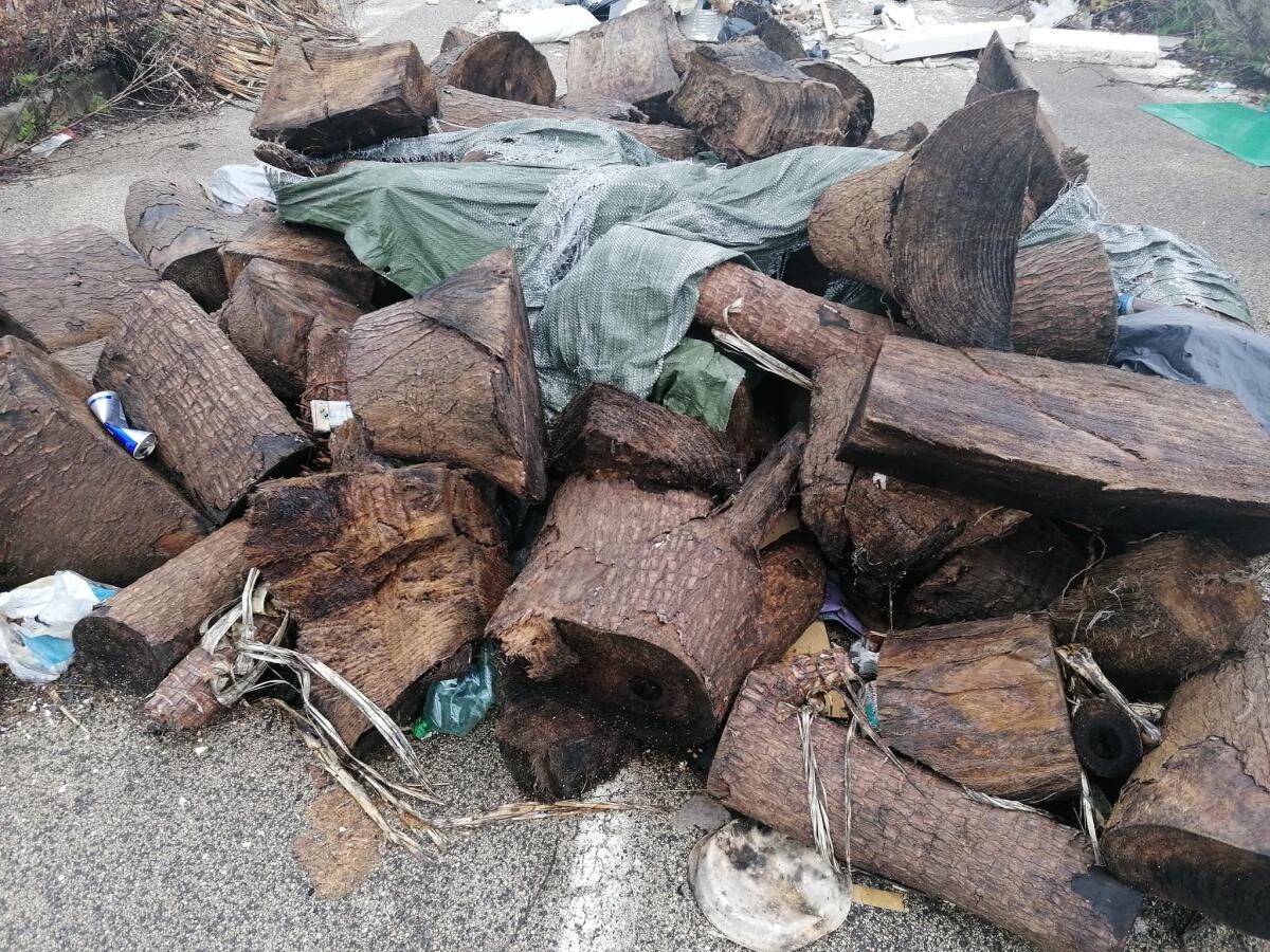 Abbandono dei rifiuti e discariche, esposti e sopralluoghi ma la periferia apriliana è bersagliata - 