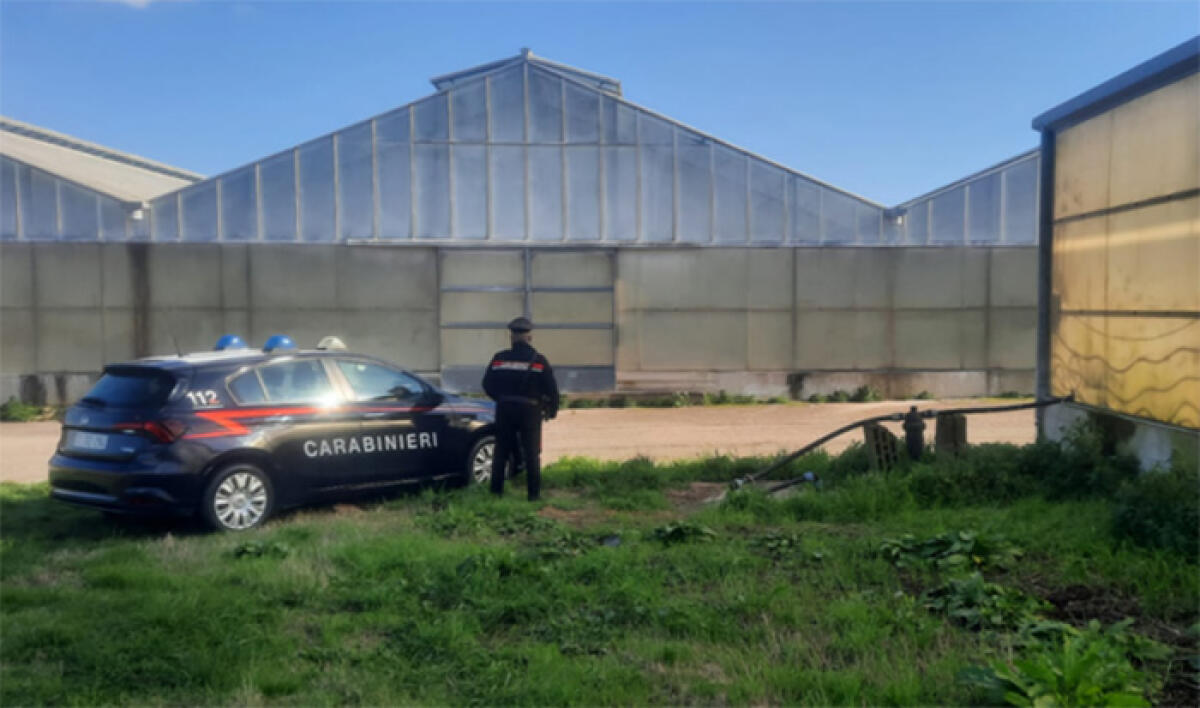 Caporalato, controlli dei Carabinieri in un’azienda di Campoverde. Trovato un lavoratore irregolare. Al vaglio la posizione di altre tre. - 