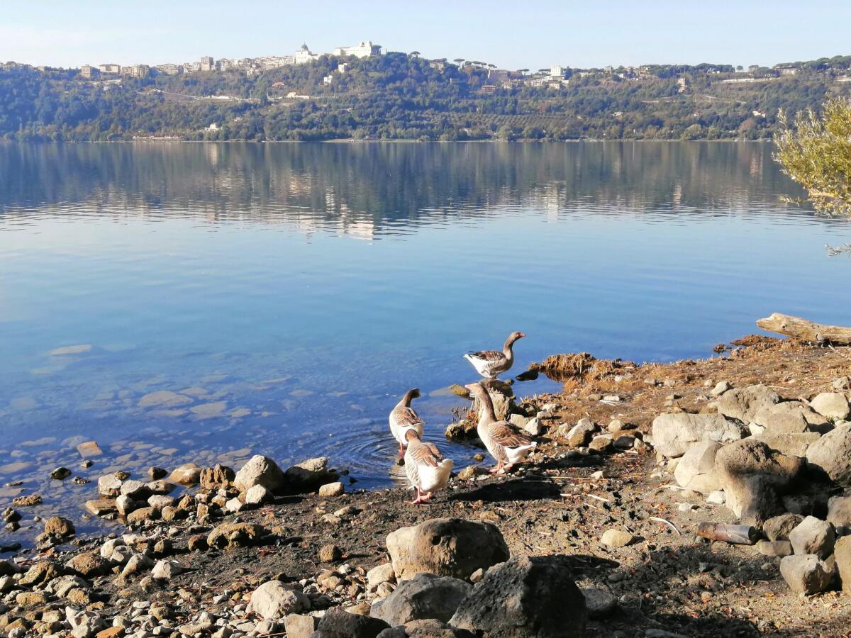 Si abbassano le acque dei laghi Albano e Nemi, l'esposto: "Fare chiarezza su responsabilità" - 