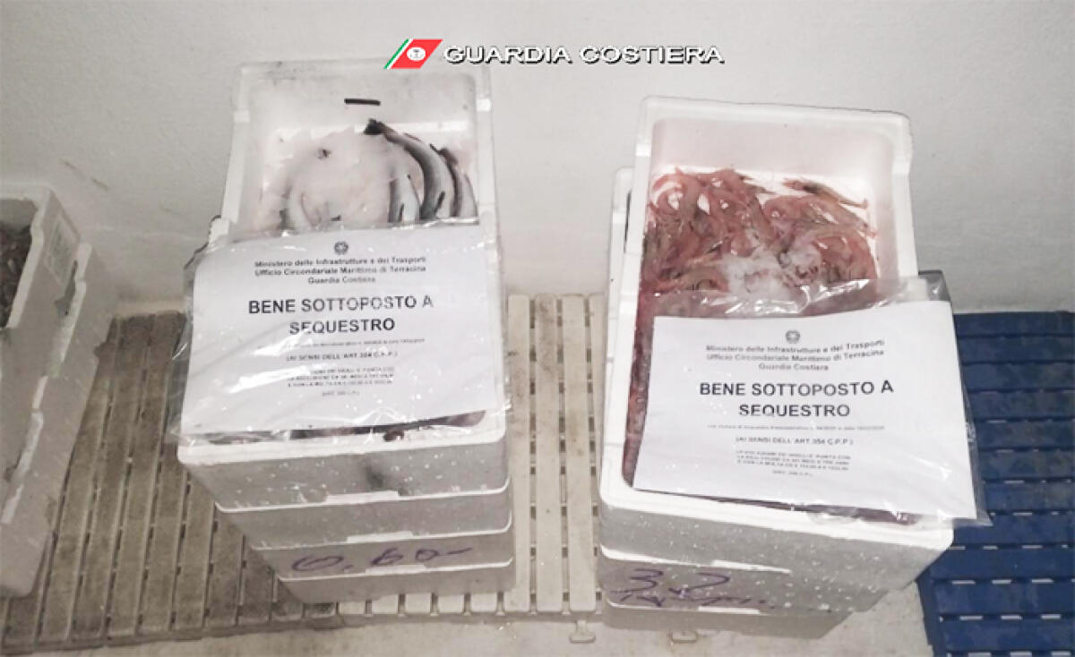 Pesce non tracciato in vendita abusivamente sulla banchina del porto di Terracina. Scatta il sequestro. - 