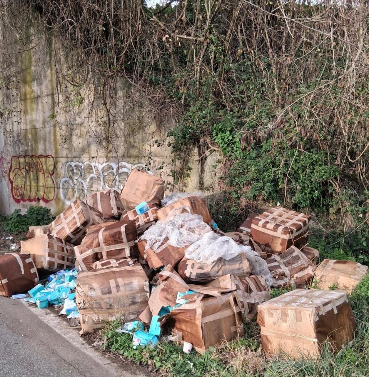 200mila mascherine gettate in strada ad Aprilia, si indaga - 