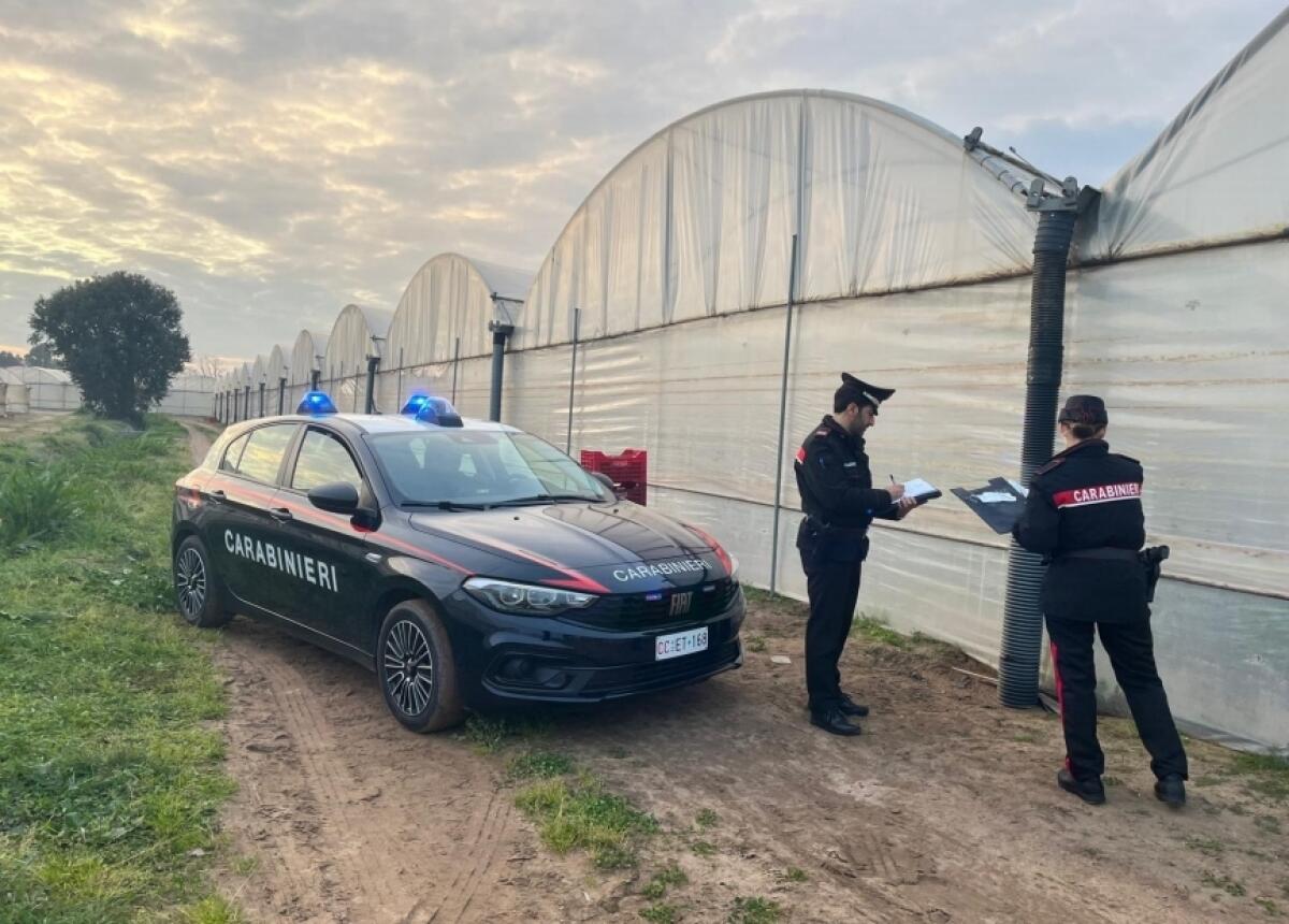 Bracciante indiano muore per un malore sul posto di lavoro, in un'azienda agricola di Terracina. Aperta un'inchiesta. - 