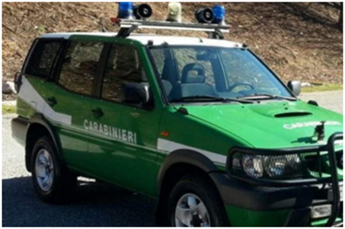 Controlli contro il bracconaggio da Aprilia al sud pontino: denunce e sequestri - 