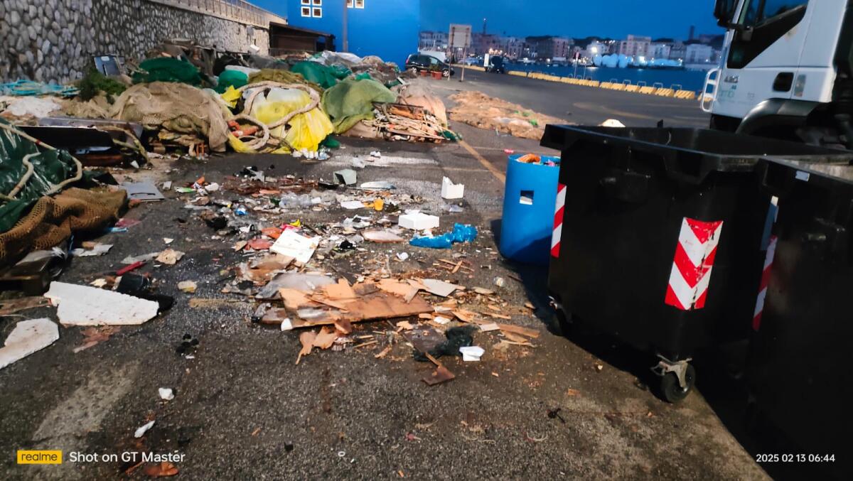 Rifiuti abbandonati al Porto di Anzio: nuovo intervento di bonifica. Con le nuove telecamere scatteranno sanzioni e denunce. - 