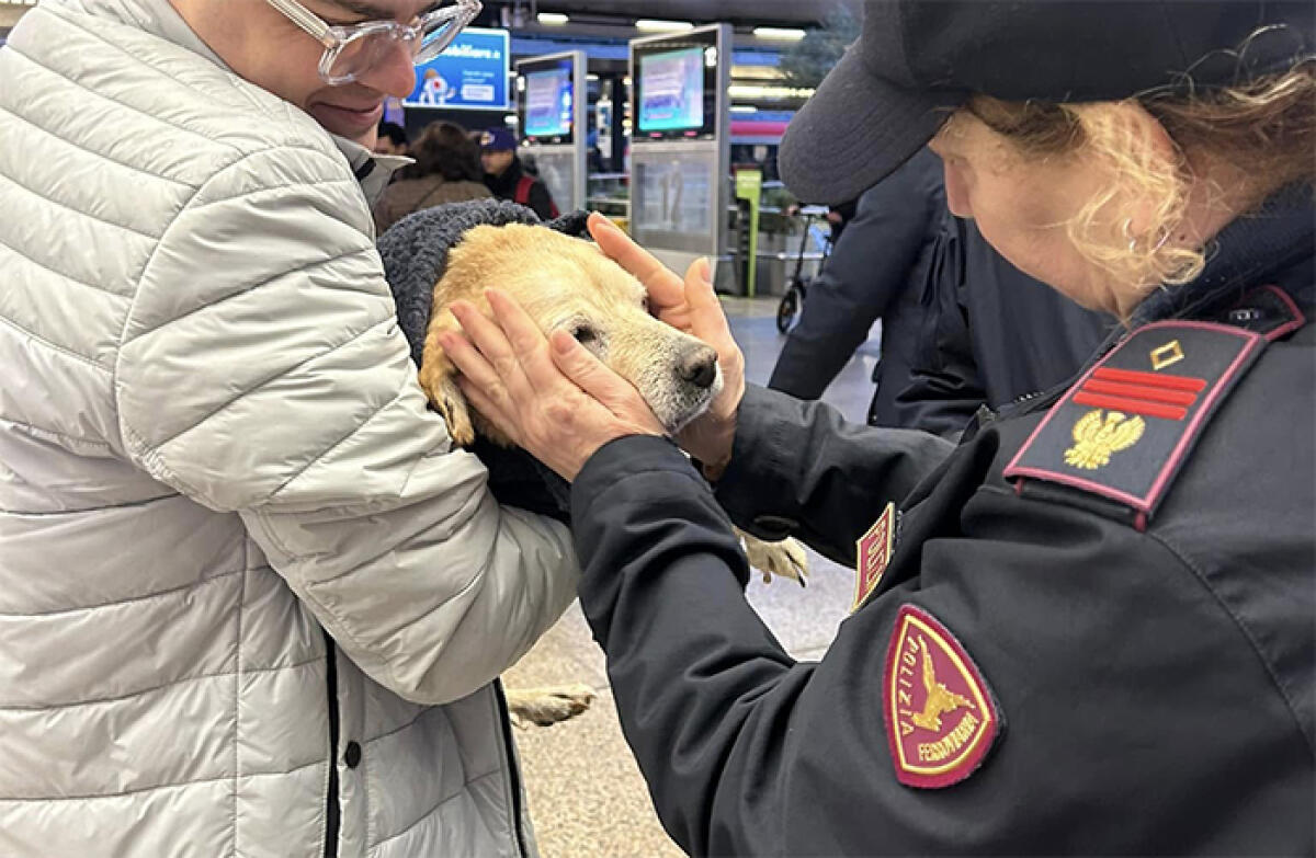 Un anziano cane viaggia solo in treno da Cisterna a Roma Termini: grazie al buon cuore delle persone viene rintracciata la proprietaria. - 