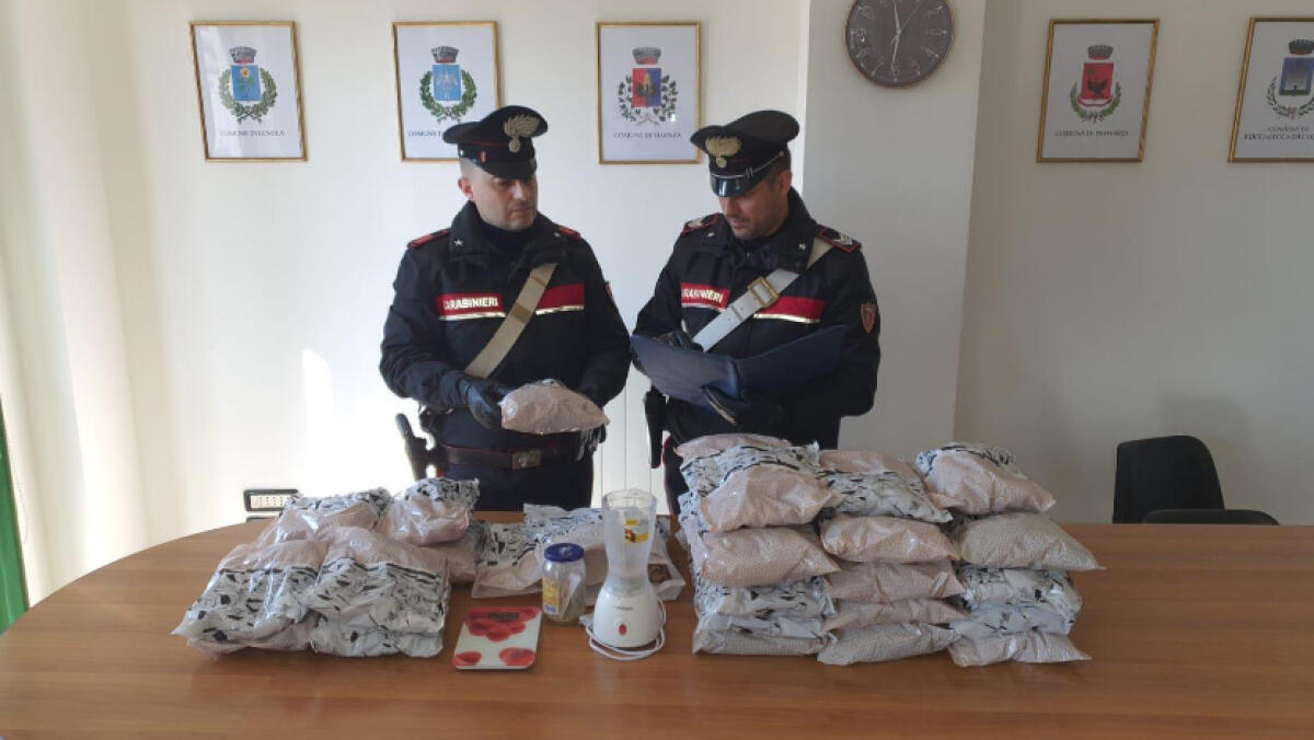 4 chili di bulbi di papavero da oppio in auto, 3 arresti a Terracina - 