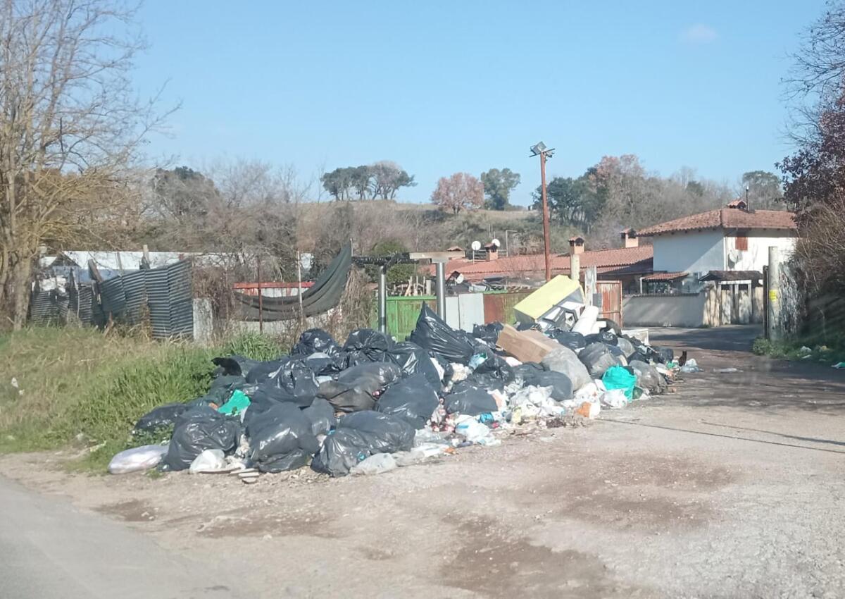 Cumuli di rifiuti tra la Pontina Vecchia e Torre Bruna: "Il Comune di Aprilia ci ignora" - 