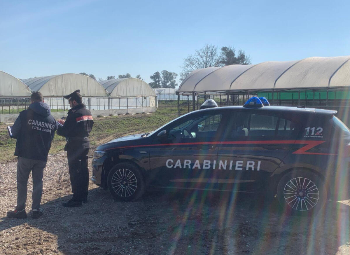 Controlli in un'azienda agricola di Terracina, denunciato il titolare - 