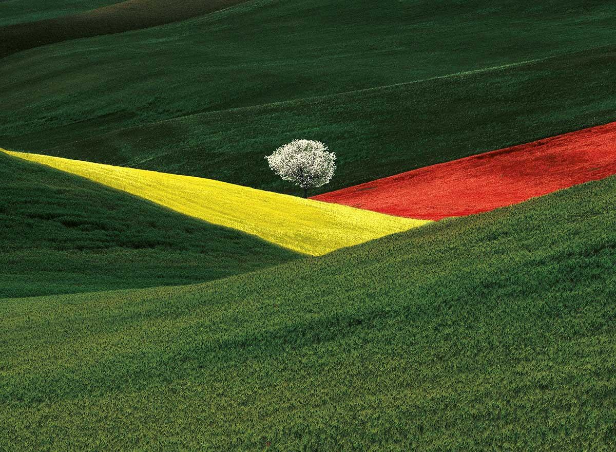 Franco Fontana torna a Latina con una nuova edizione del workshop “Fotografia creativa” - 