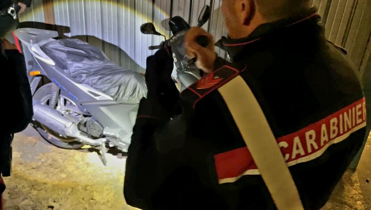 Misure cautelati per 18 persone. Operazione antidroga della Dda di Roma e dei Carabinieri. VIDEO - 