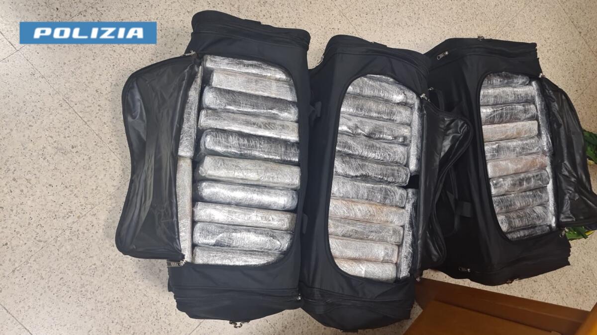 105 chili di cocaina sequestrati ad Aprilia: la droga, al dettaglio, avrebbero fruttato 14milioni di euro. - 