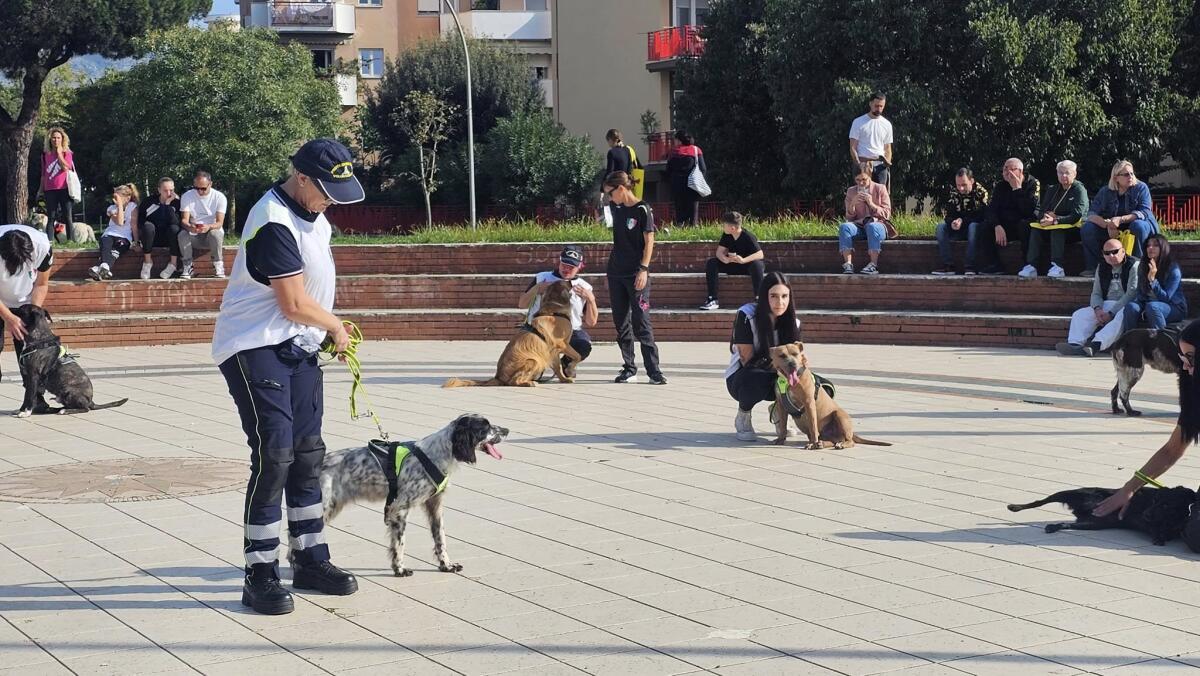 “Crescere insieme si può”, torna il progetto con i cani del Canile Comunale di Terracina - 