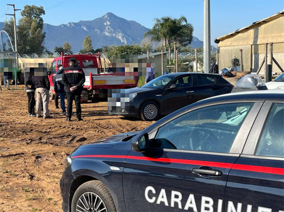 Blitz dei Carabinieri e del personale Spresal in un’azienda agricola di San Felice Circeo. Denunciato il titolare. VIDEO - 