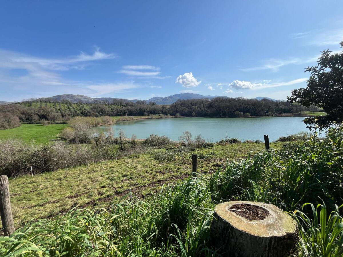 A Giulianello di Cori questa domenica la prima edizione del trail “Corax Race Lake Edition”. - 