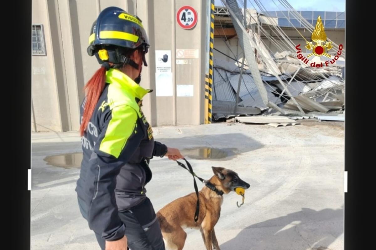 Crollo di un capannone industriale ad Aprilia, accertamenti sulle cause - 
