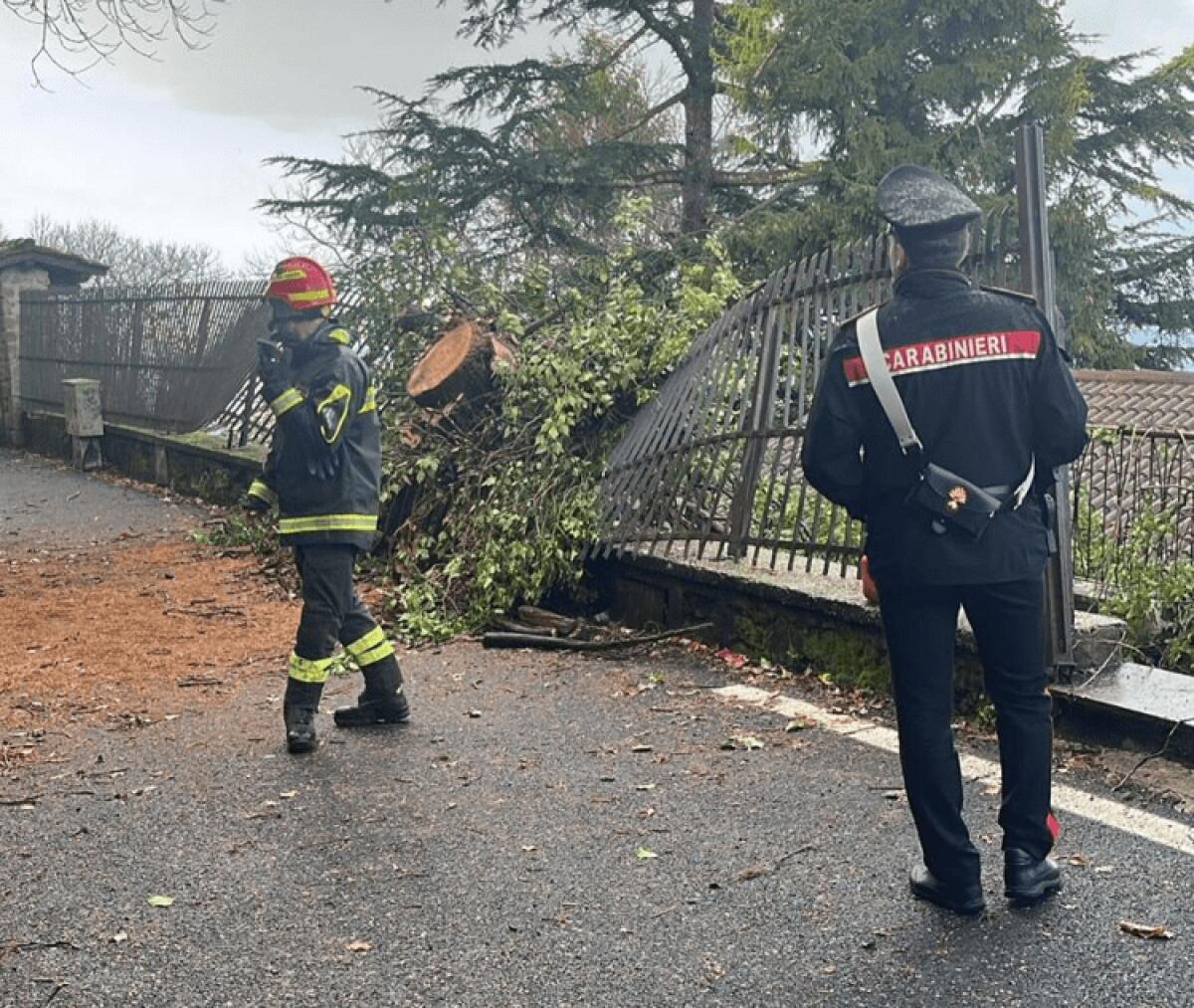 Un albero, alto 15 metri, crolla a Rocca di Papa travolgendo un’auto e l’ingresso di un’abitazione. - 