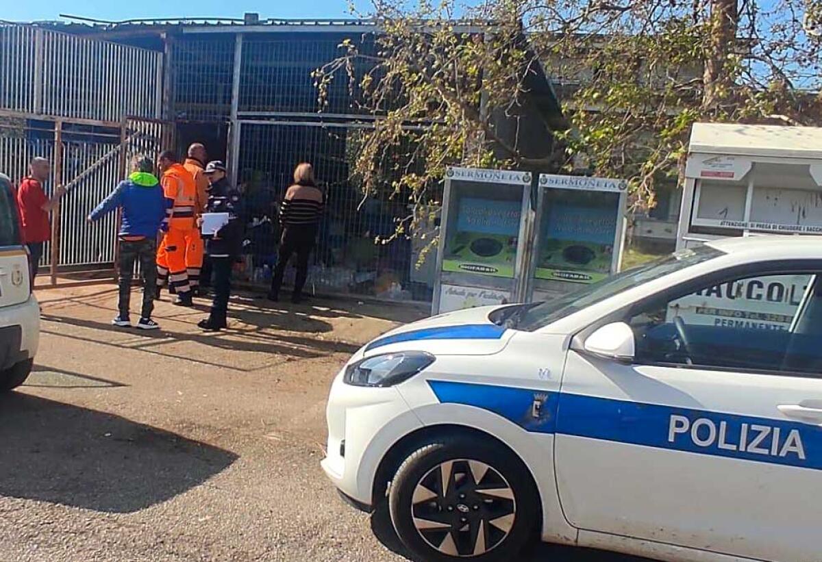 Controlli e sanzioni a Sermoneta per il non corretto conferimento dei rifiuti per la differenziata. - 